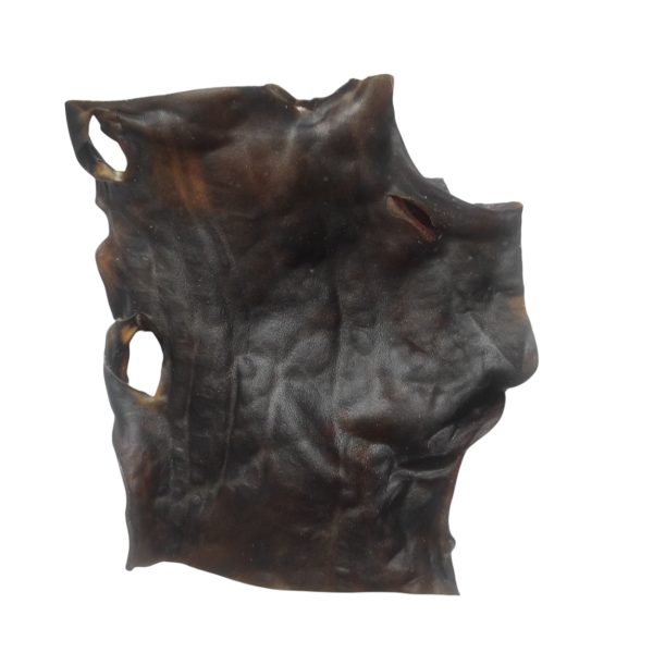 plaque peau chameau